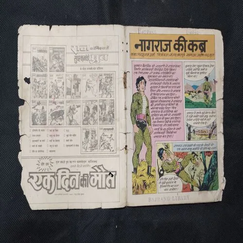 NAGRAJ KI KABR