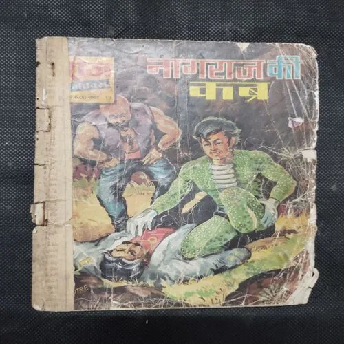 NAGRAJ KI KABR