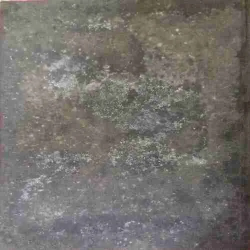 The twilight of Indid ‘s Wild Life ( No. of pages = 212 )