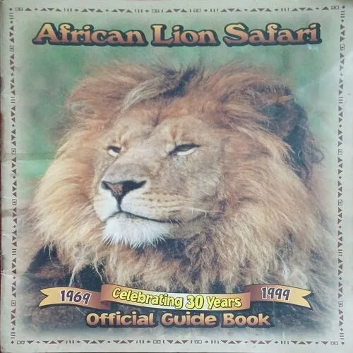 African Lion safari