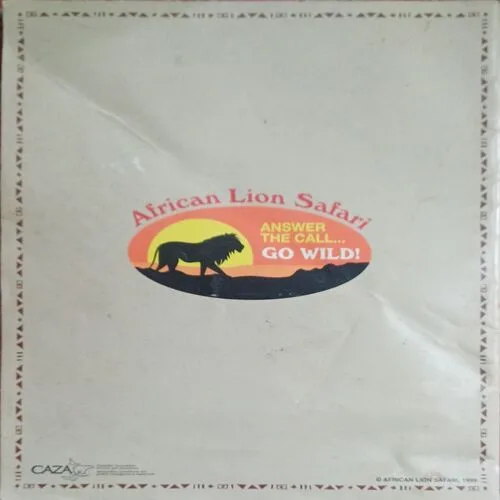 African Lion safari