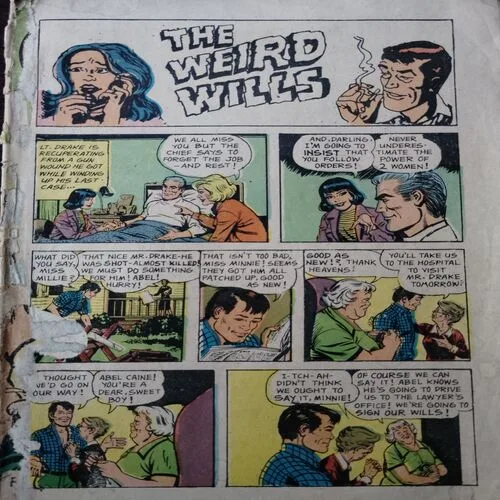 The Weird Wills .