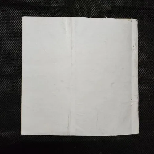 DADI MAA AUR VISHV KANYA