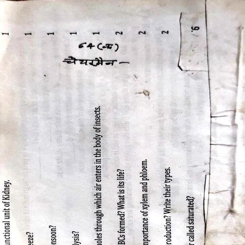 Chairman (No. of pages 116)