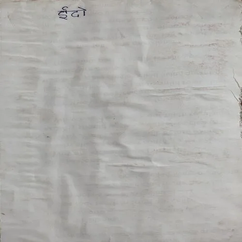 Indo (No. of pages 176)