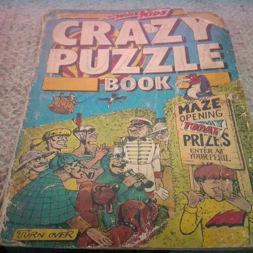 Crazy Puzzle Book