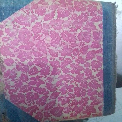 Tiger Shark (Front Cover Little Cut)