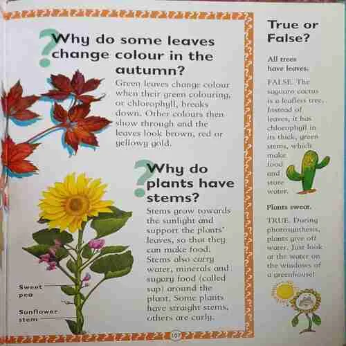 Science and nature