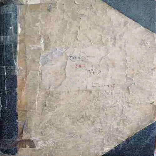Rangbhumi ( No. of pages =  513 )