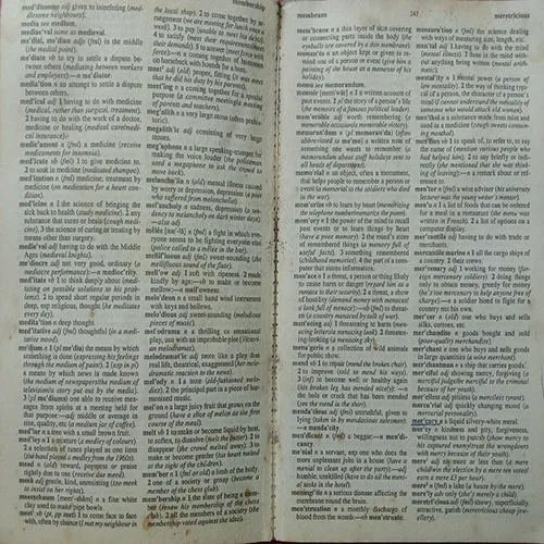 Junior Dictionary (No. Of Pages – 448)