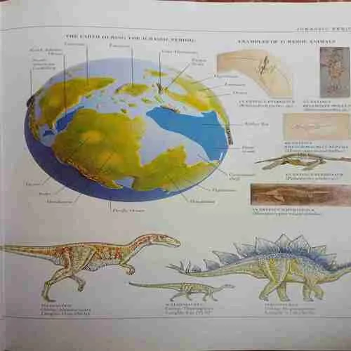 Visual Dictionary