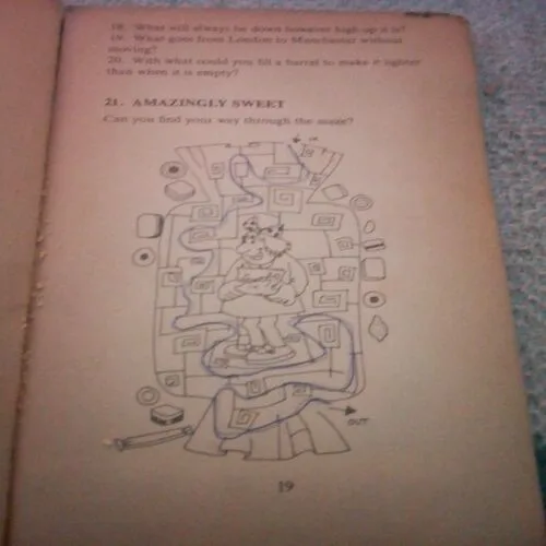Crazy Puzzle Book