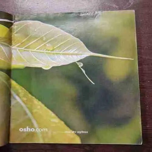 Osho Times (September 2007)