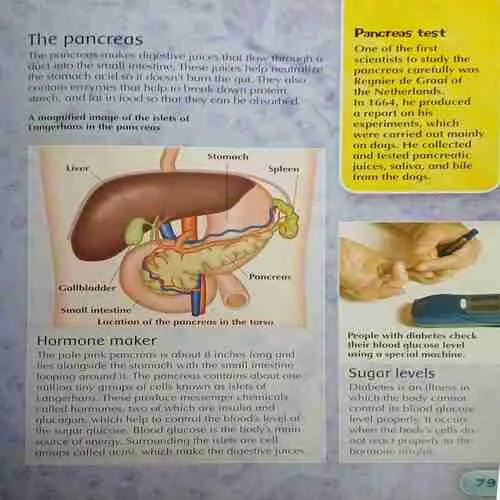 Human body Encyclopedia