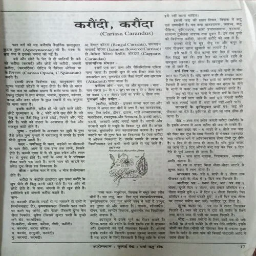 Aryogyadham ( Page No.25 Have Half Cut ) ( Varsh Ritu Ank 1996 )