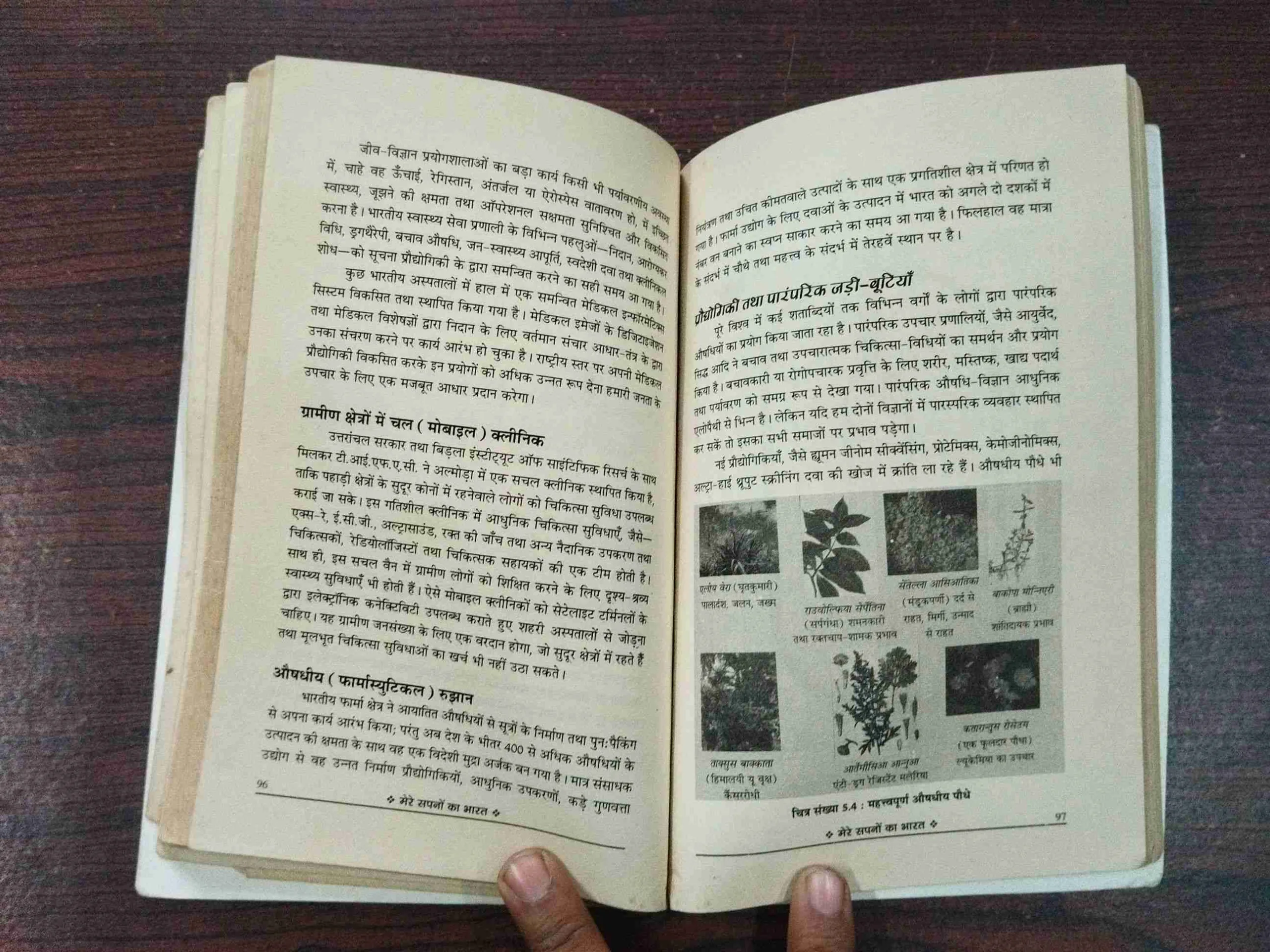 Mere Sapno Ka Bharat ( A. P. J. Abdul Kalam ).