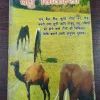 Pasu Chikitsa ( Dr. Omprakash Saxena ) .