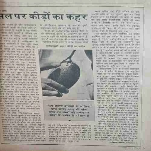 India Today ( 15th june 1987 )