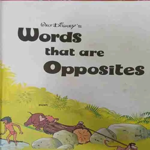 Words that are opposite