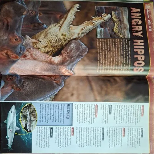 Ripley’s Believe It Or Not!  ( Total Pages = 254 )