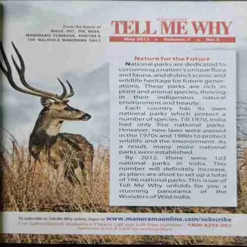 Tell Me Why  (No.80)