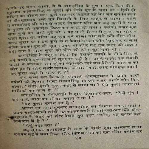 Raavi Paar ( By Balwant Singh )(  No. of pages = 117 )