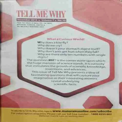 Tell Me Why  (No.87)
