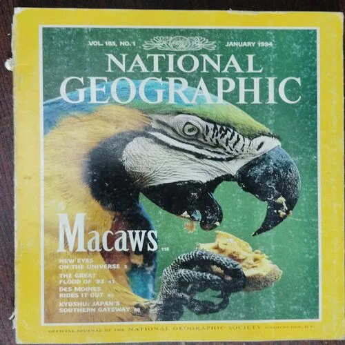 National Geographic  (January 1994,Vol.185,No.1)