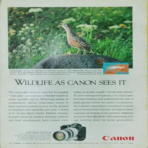 National Geographic  (October 1994,Vol.186,No.4)