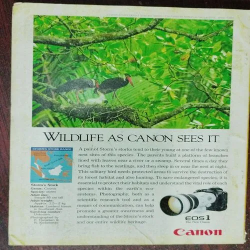 National Geographic  (April 1993,Vol.183,No.4)