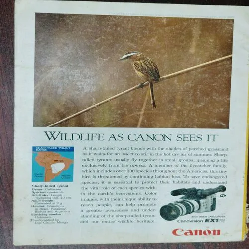 National Geographic  (August 1993 , Vol 184,No.2)
