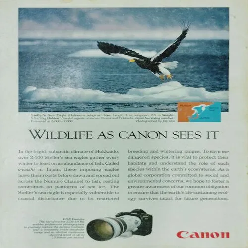 National Geographic  (December 1995, Vol188,No.6)