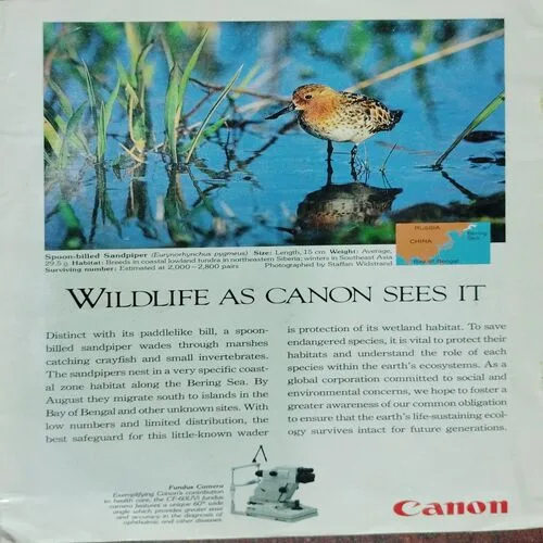 National Geographic  (August 1995, Vol.188,No.2)