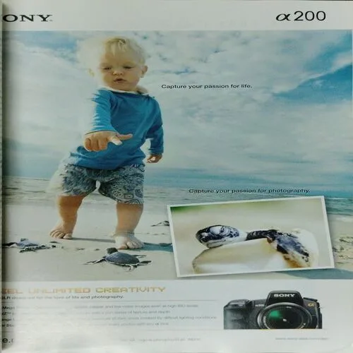 National Geographic  (February 2008)