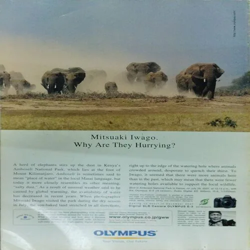 National Geographic  (February 2008)