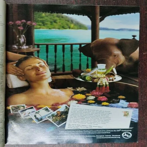 National Geographic  (November 2002)