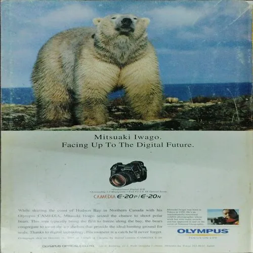 National Geographic  (November 2002)