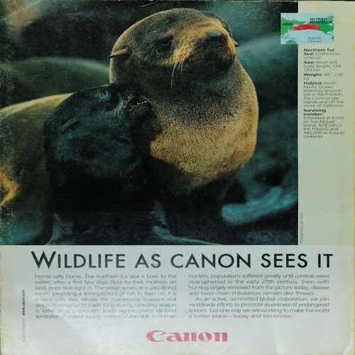 National Geographic  (December 2005)