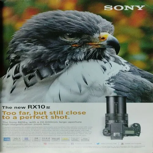 National Geographic  (March 2019)
