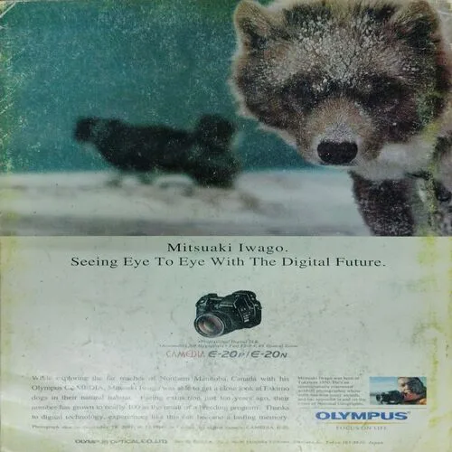National Geographic  (August 2002)