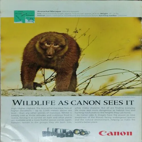 National Geographic  (November 2018)