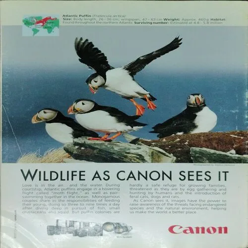 National Geographic  (January 2017,Vol.4,Issue.6)