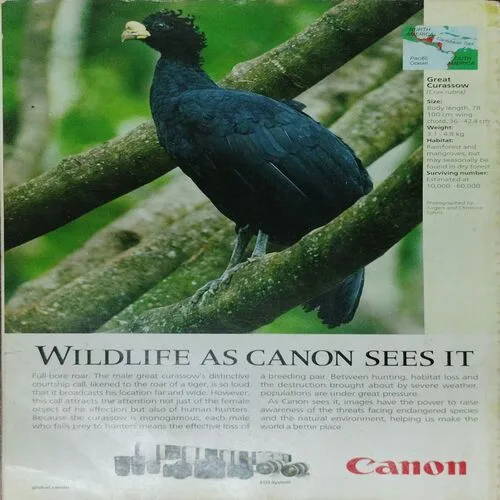 National Geographic  (November 2019)