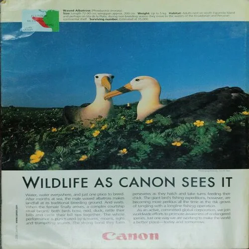 National Geographic  (February 2006)