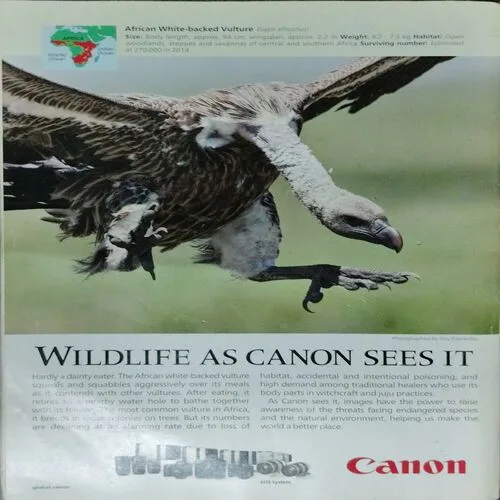 National Geographic  (July 2019)