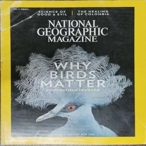 National Geographic  (January 2018,Vol.5,Issue 6 )