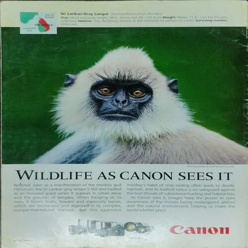 National Geographic  (January 2018,Vol.5,Issue 6 )