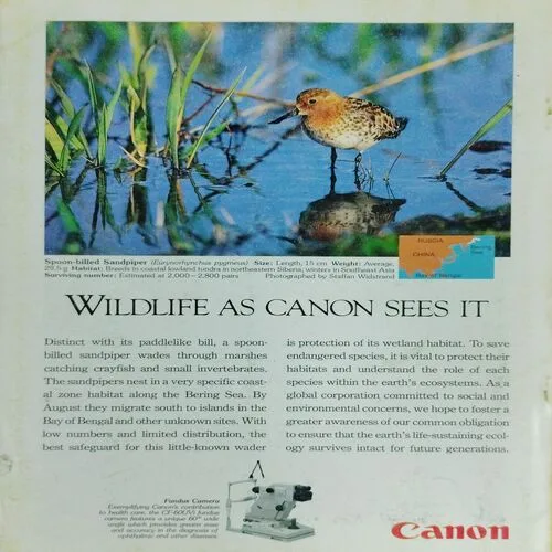 National Geographic  (August 1995,Vol.188,No.2)