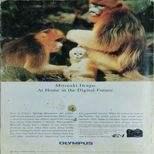 National Geographic  (May 2004)