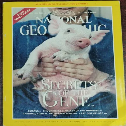 National Geographic  (October 1999,Vol.196,No.4)